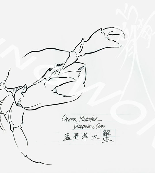 Crab